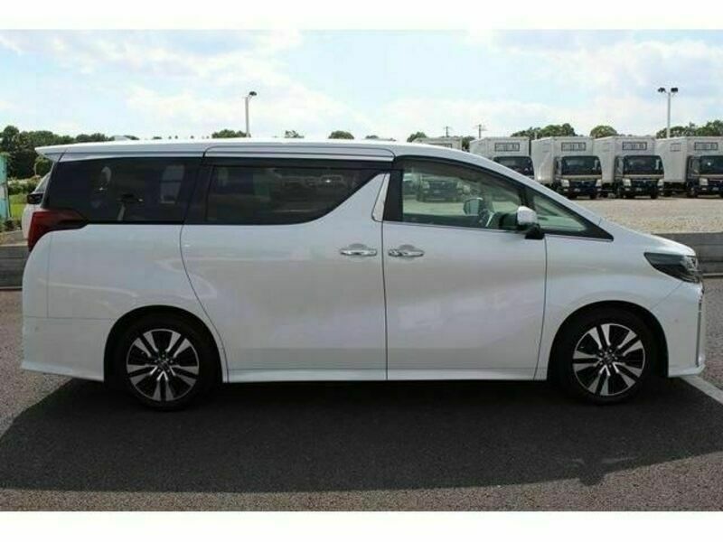 ALPHARD-10