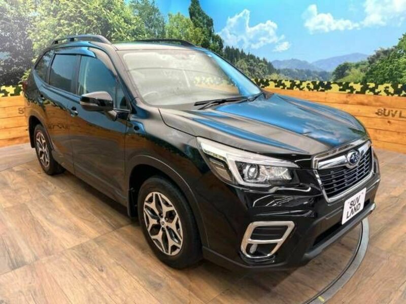 FORESTER-16