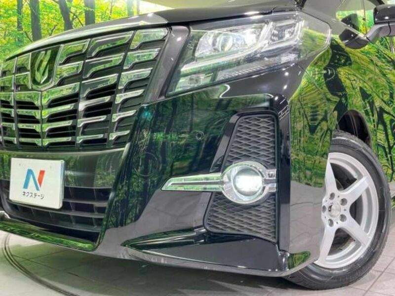 ALPHARD-13