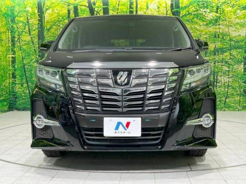 ALPHARD-15