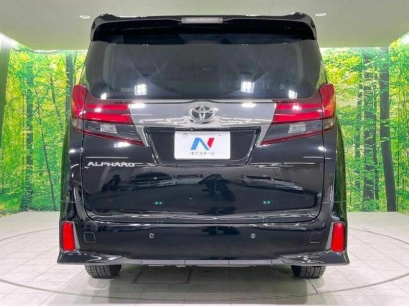 ALPHARD-16