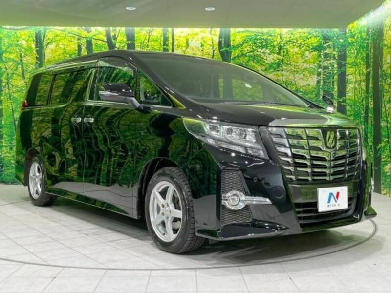 ALPHARD-17