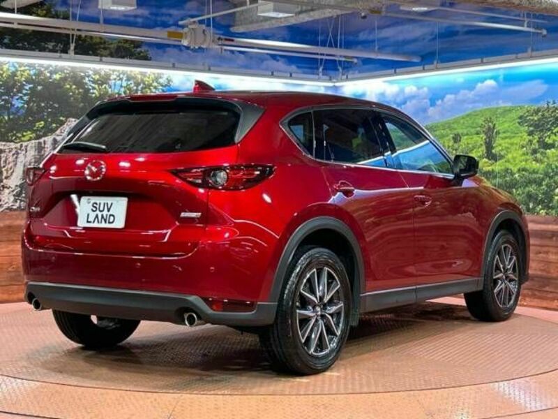 CX-5-17