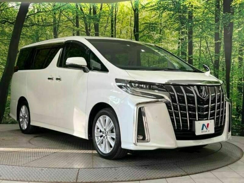 ALPHARD-17