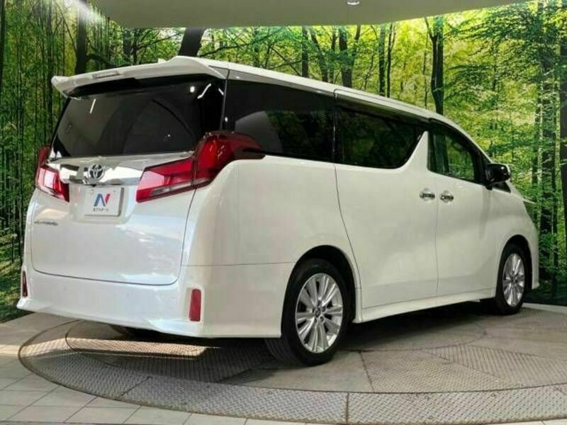 ALPHARD-18