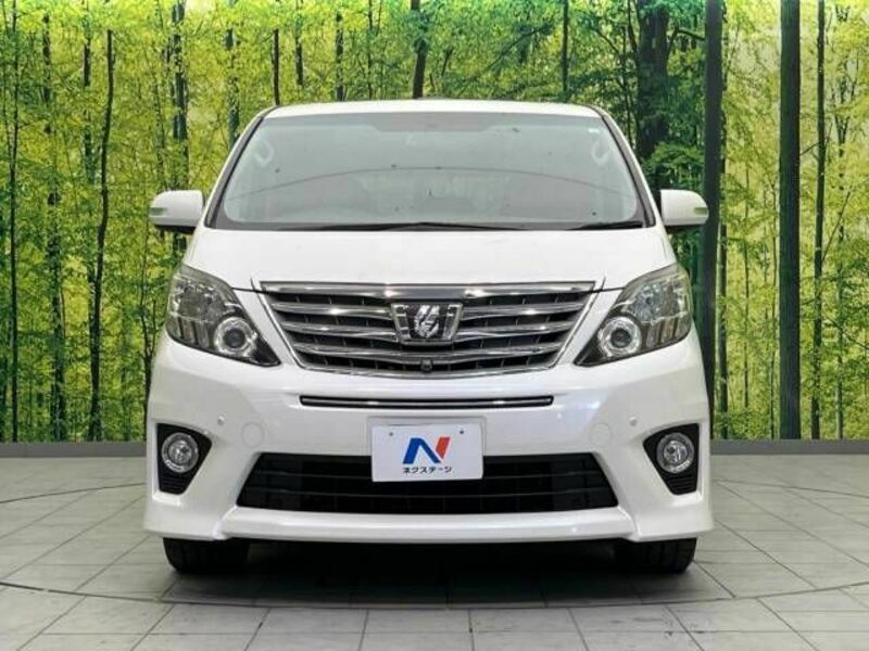 ALPHARD-15