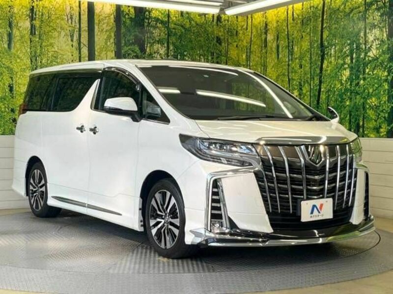 ALPHARD-17