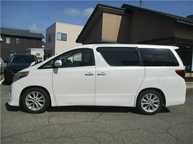 ALPHARD-6