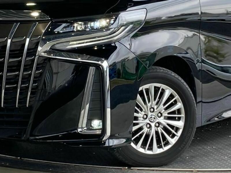 ALPHARD-28