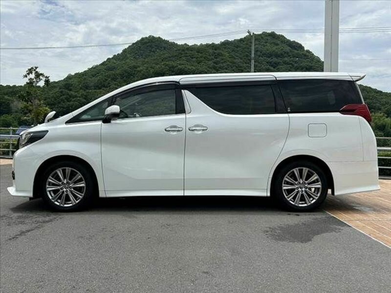 ALPHARD-10