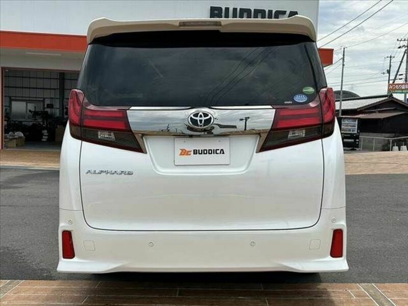 ALPHARD-13