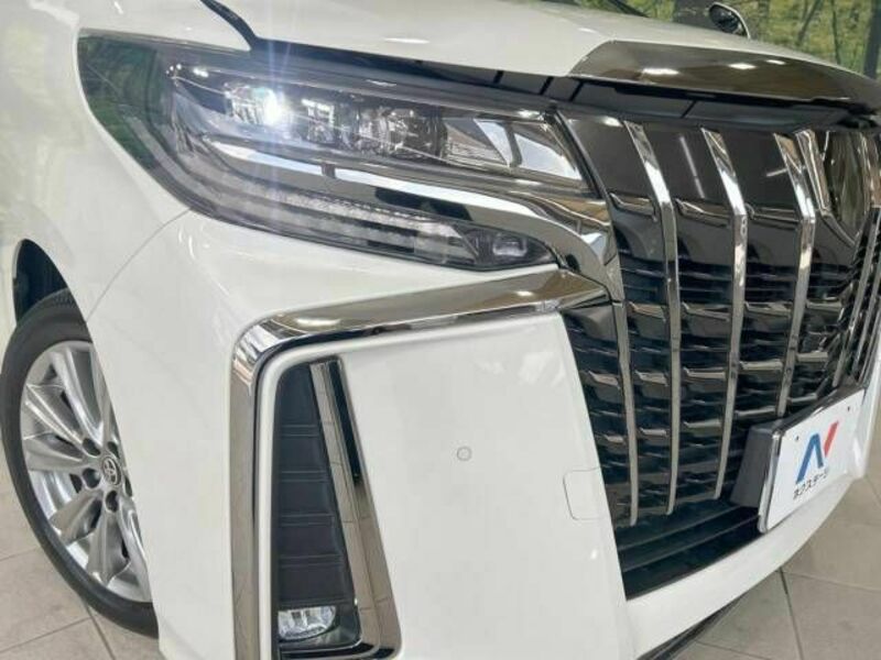 ALPHARD-12