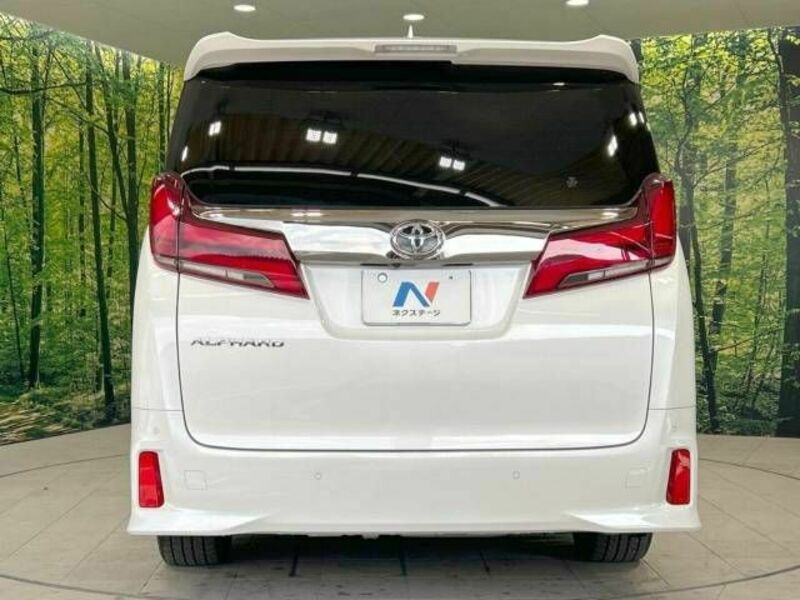 ALPHARD-15