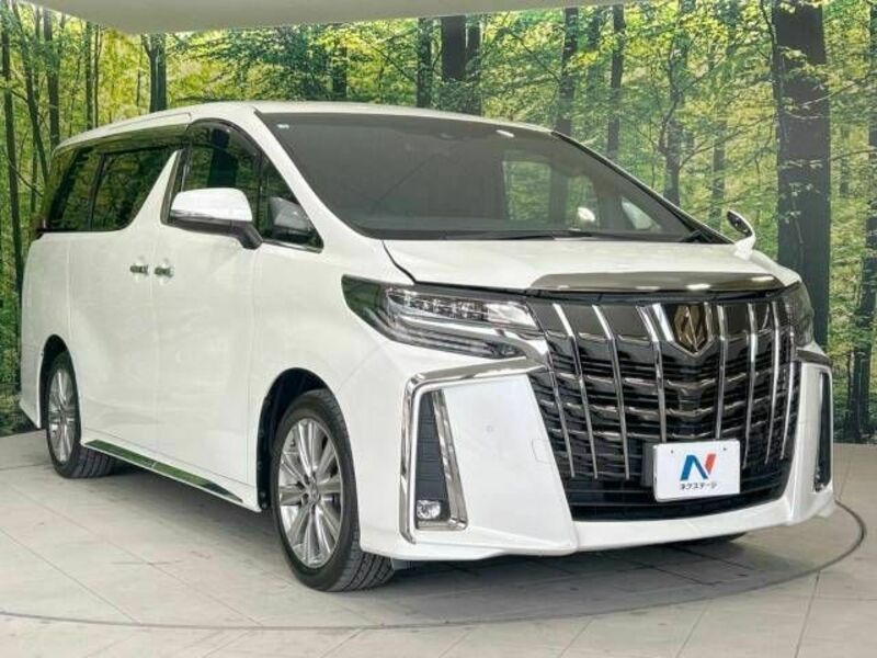 ALPHARD-16