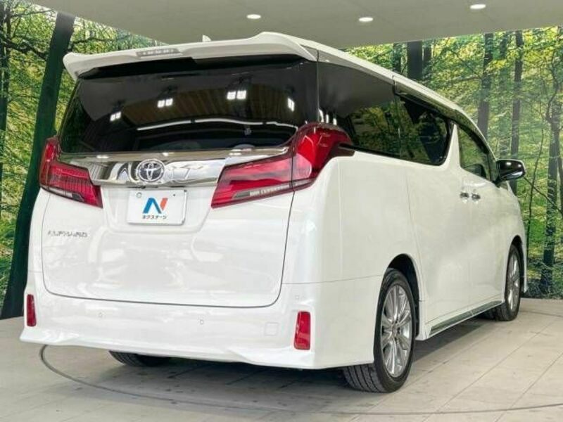 ALPHARD-17