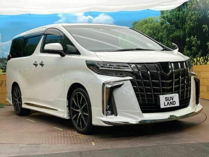 ALPHARD-16