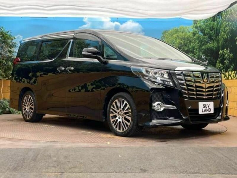 ALPHARD-16