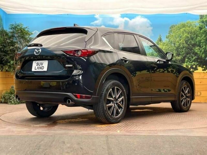 CX-5-17