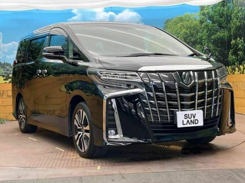 ALPHARD-17