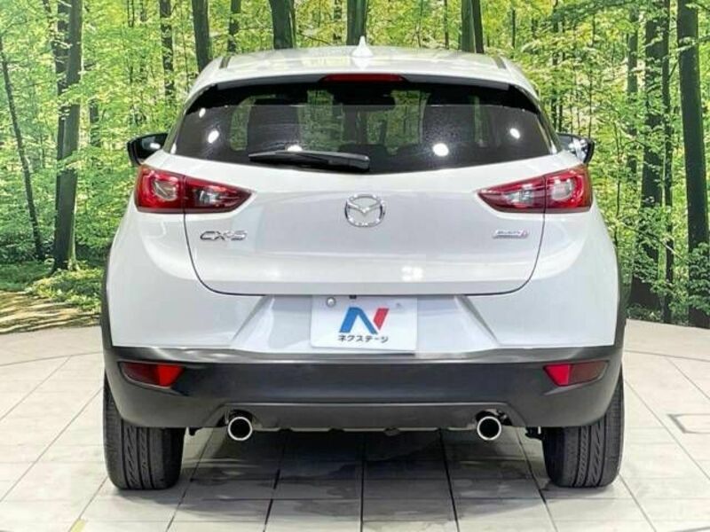 CX-3-15