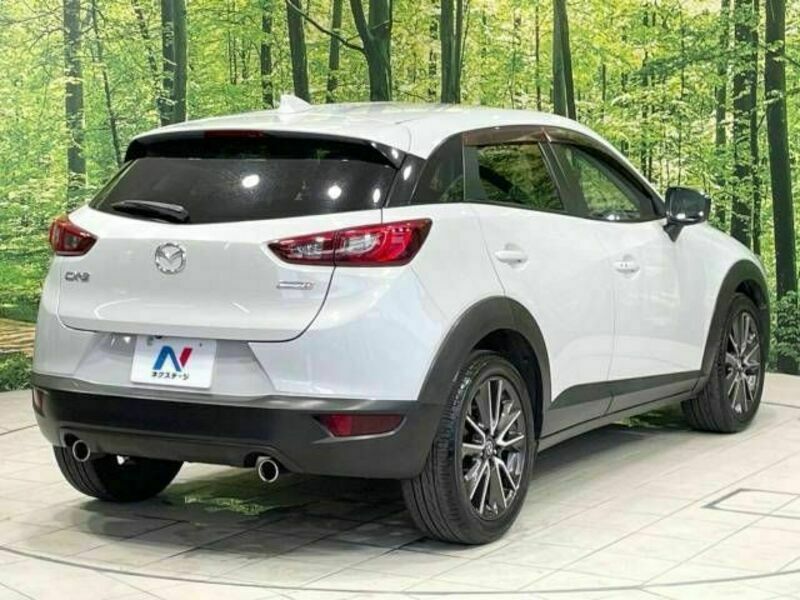 CX-3-17