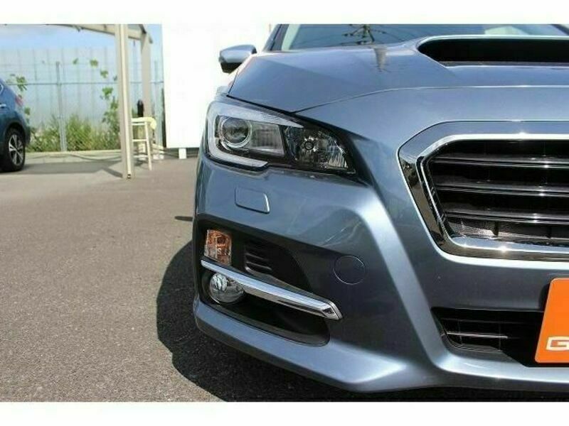 LEVORG-9