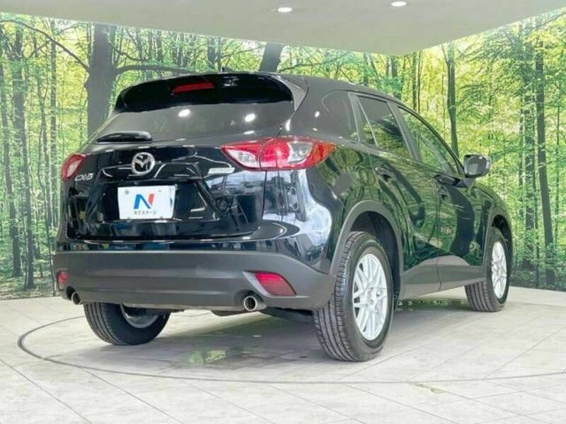 CX-5-17