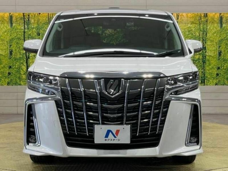 ALPHARD-16