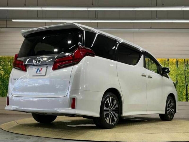 ALPHARD-19