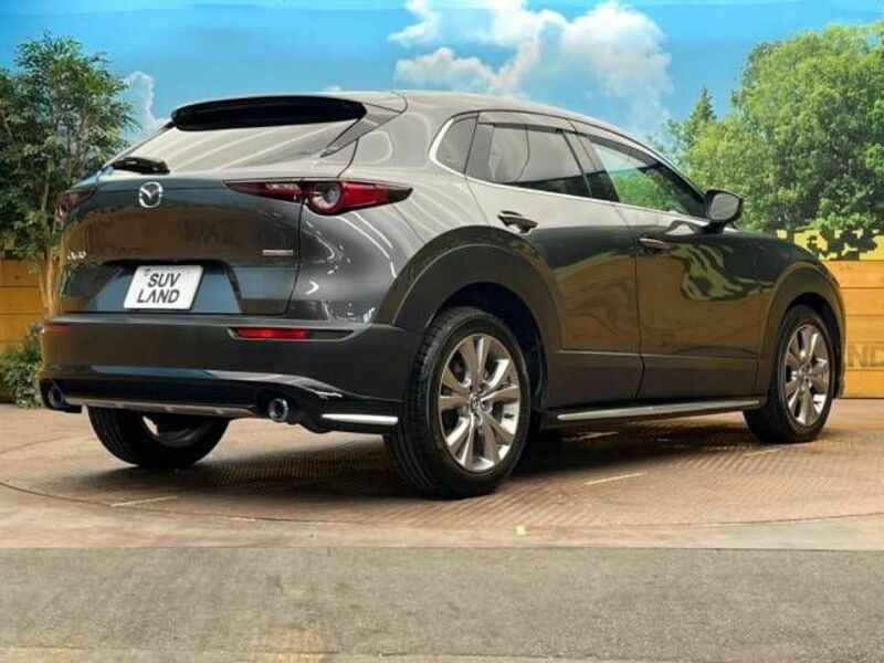 CX-30-17