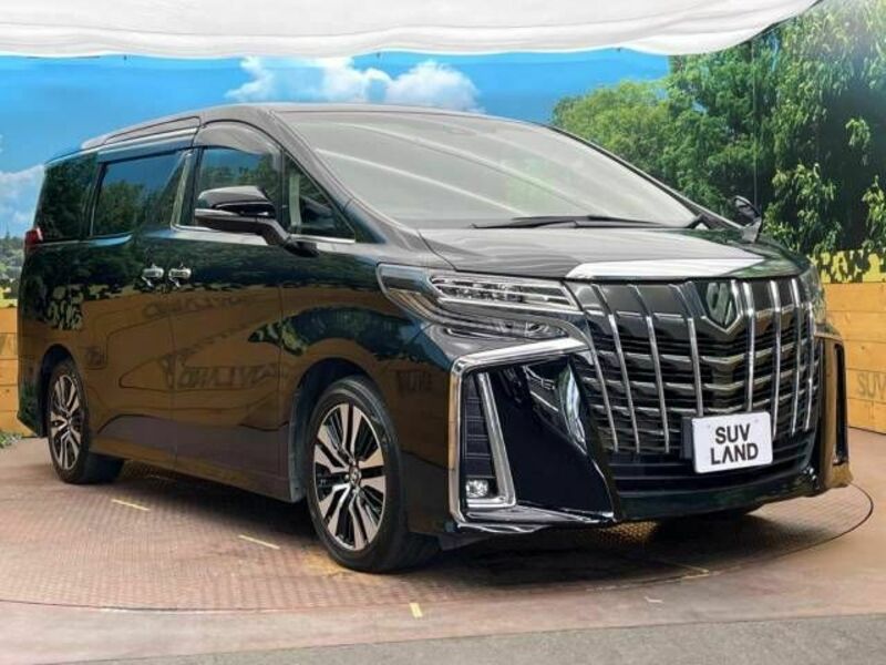 ALPHARD-16