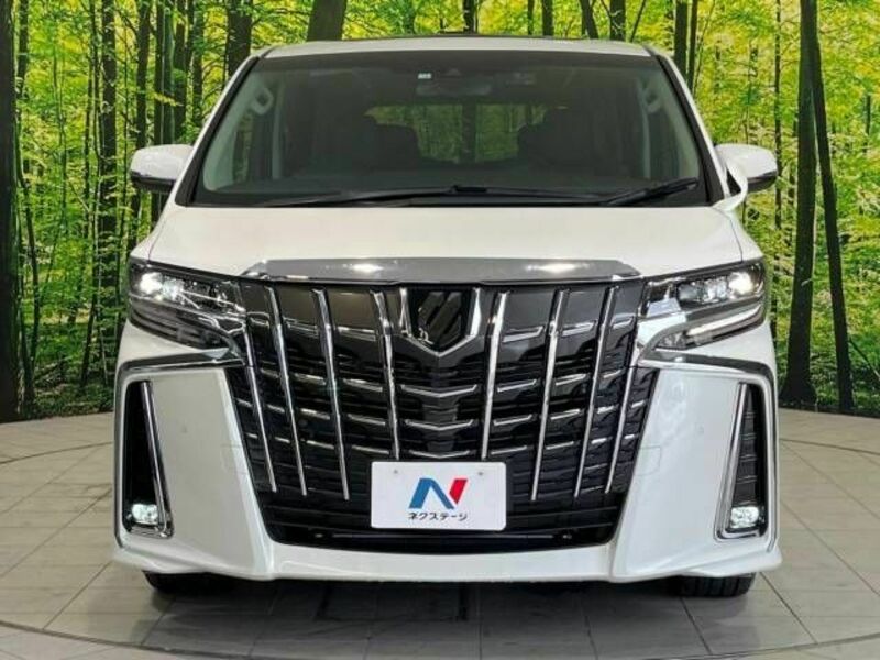 ALPHARD-14