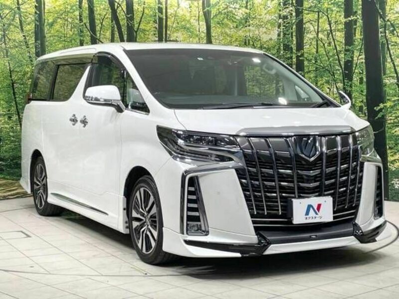 ALPHARD-17