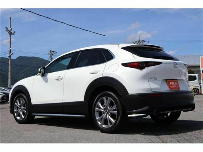 CX-30-1