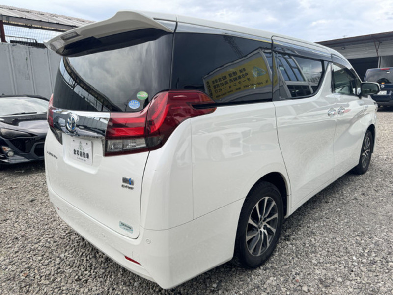 ALPHARD-6