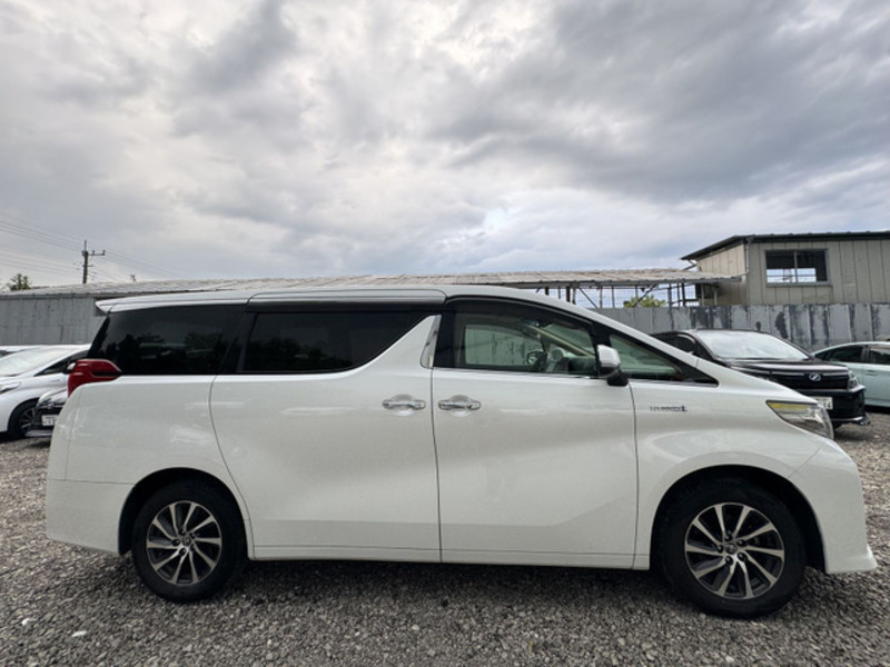 ALPHARD-3