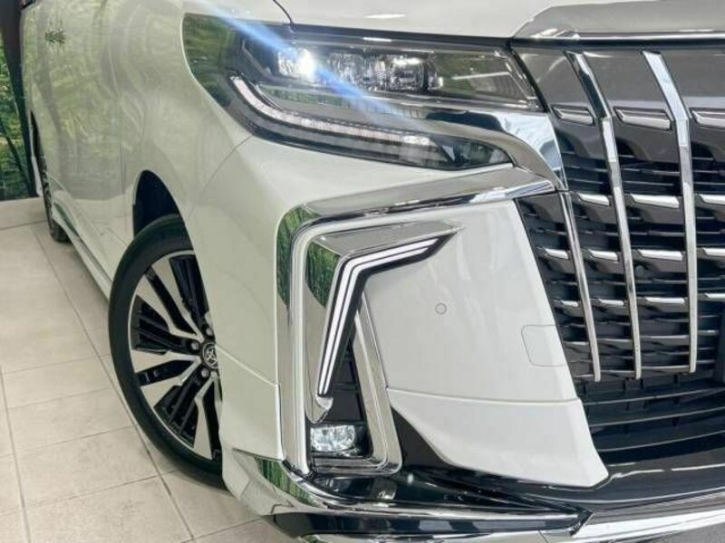 ALPHARD-13