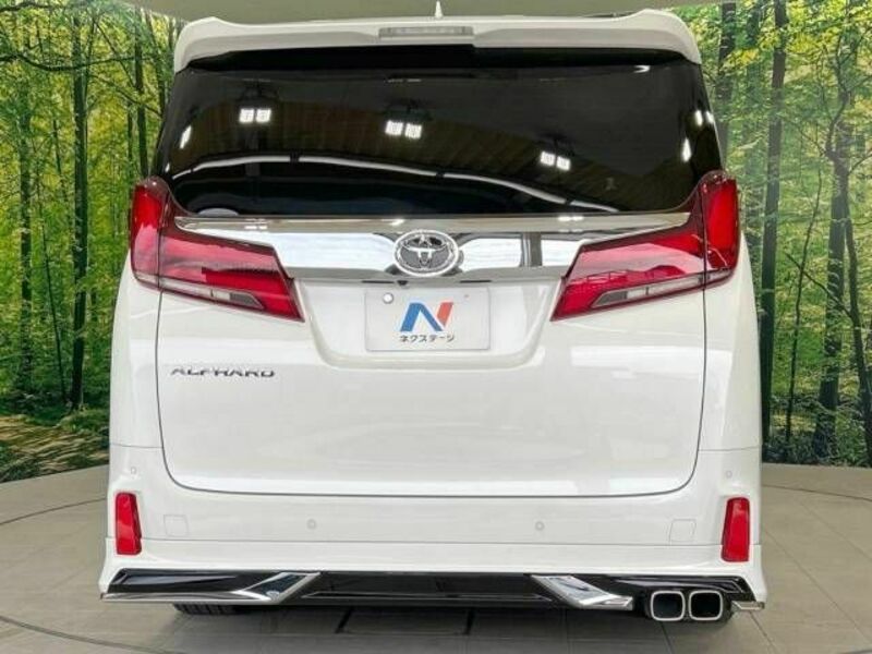 ALPHARD-16