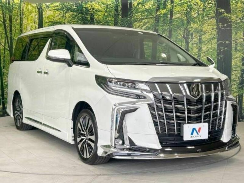 ALPHARD-17