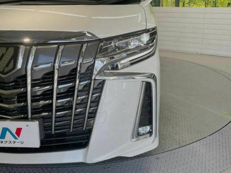 ALPHARD-13