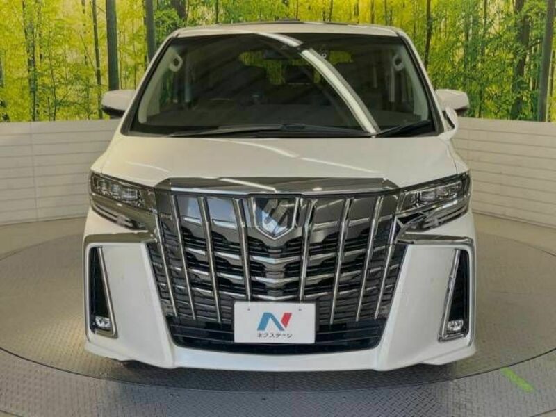 ALPHARD-15