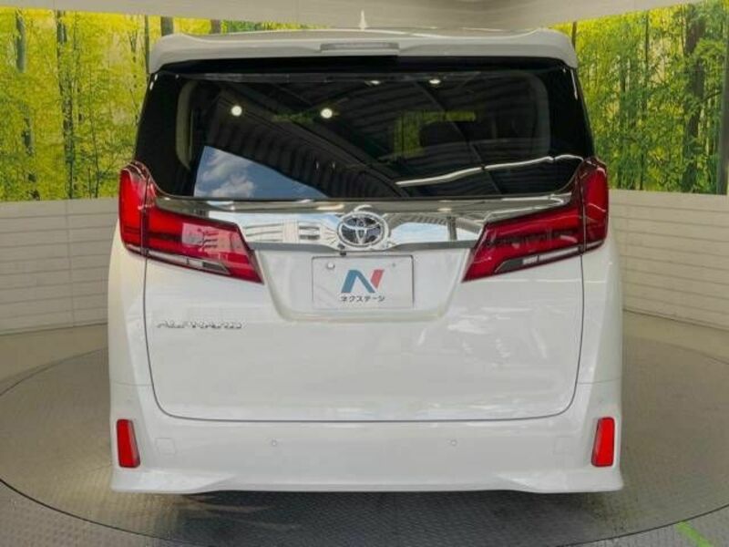 ALPHARD-16