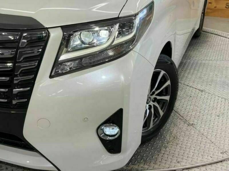 ALPHARD-13