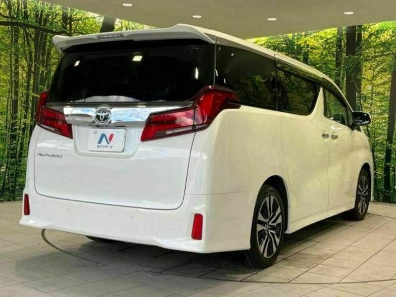 ALPHARD-17