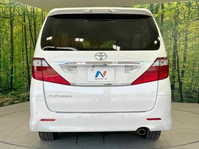 ALPHARD-15