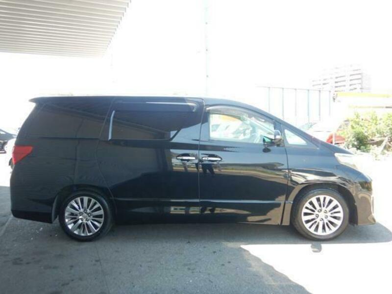 ALPHARD-14