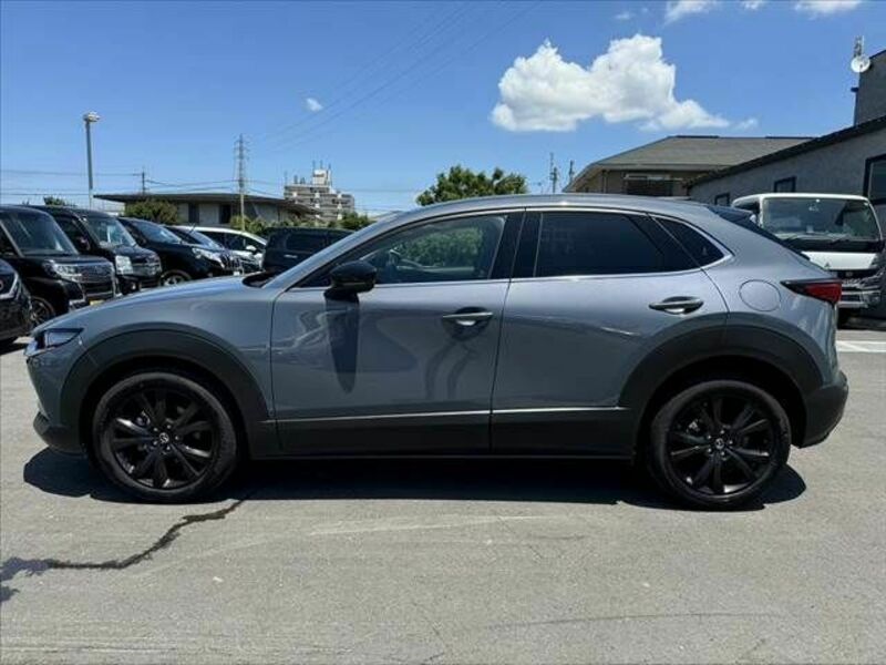 CX-30-10