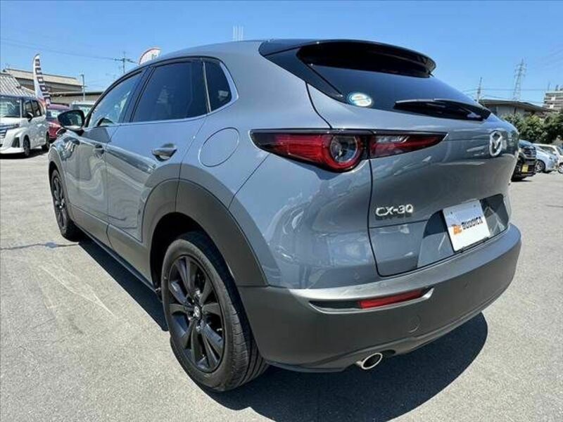 CX-30-12