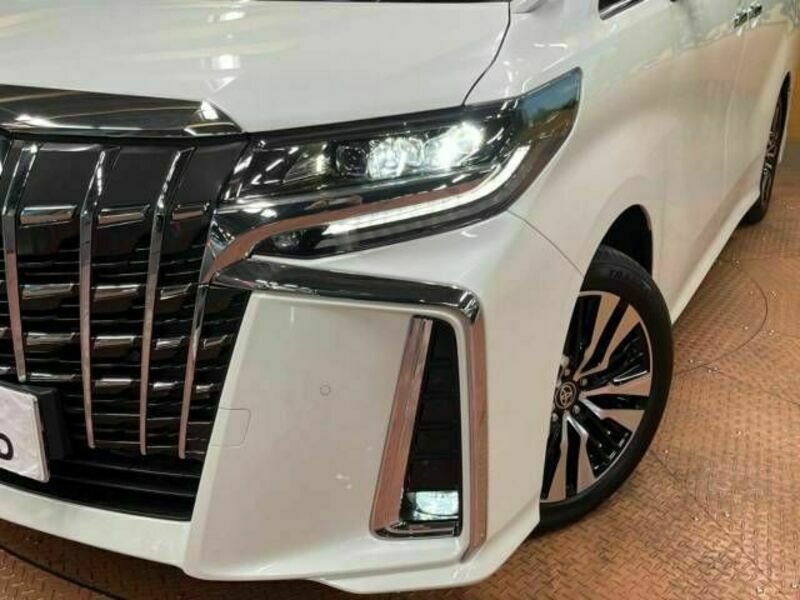 ALPHARD-13