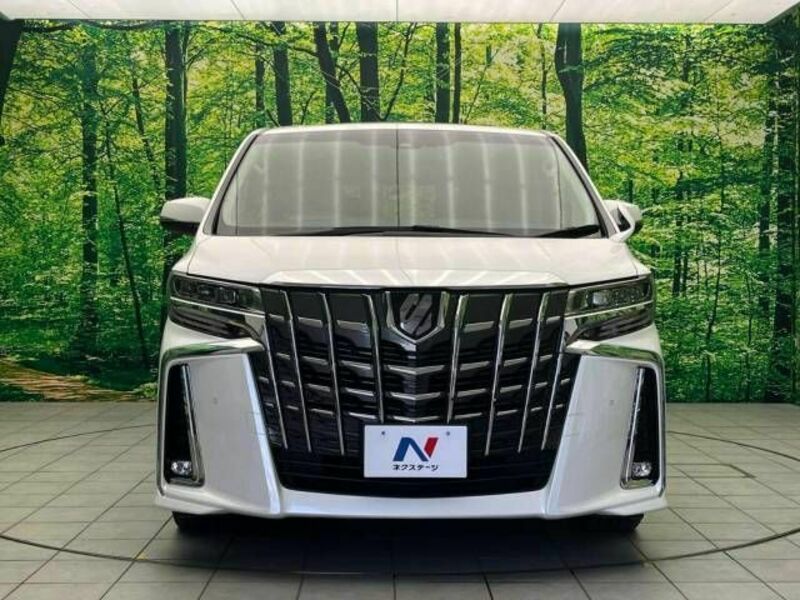 ALPHARD-15